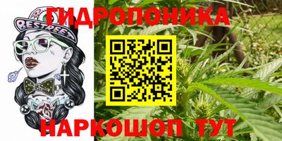 дурь Кохма